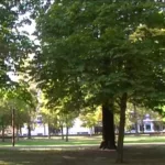 Descubre el encanto de Calle Prado en Vitoria: un destino imperdible para tu próximo viaje de turismo