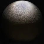 Descubre el fascinante turismo científico en el Museo de Ciencias Naturales de Álava en Vitoria