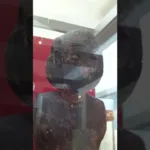 Descubre la historia de Vitoria en su fascinante Museo de Arqueología: una parada imprescindible en tu viaje turístico